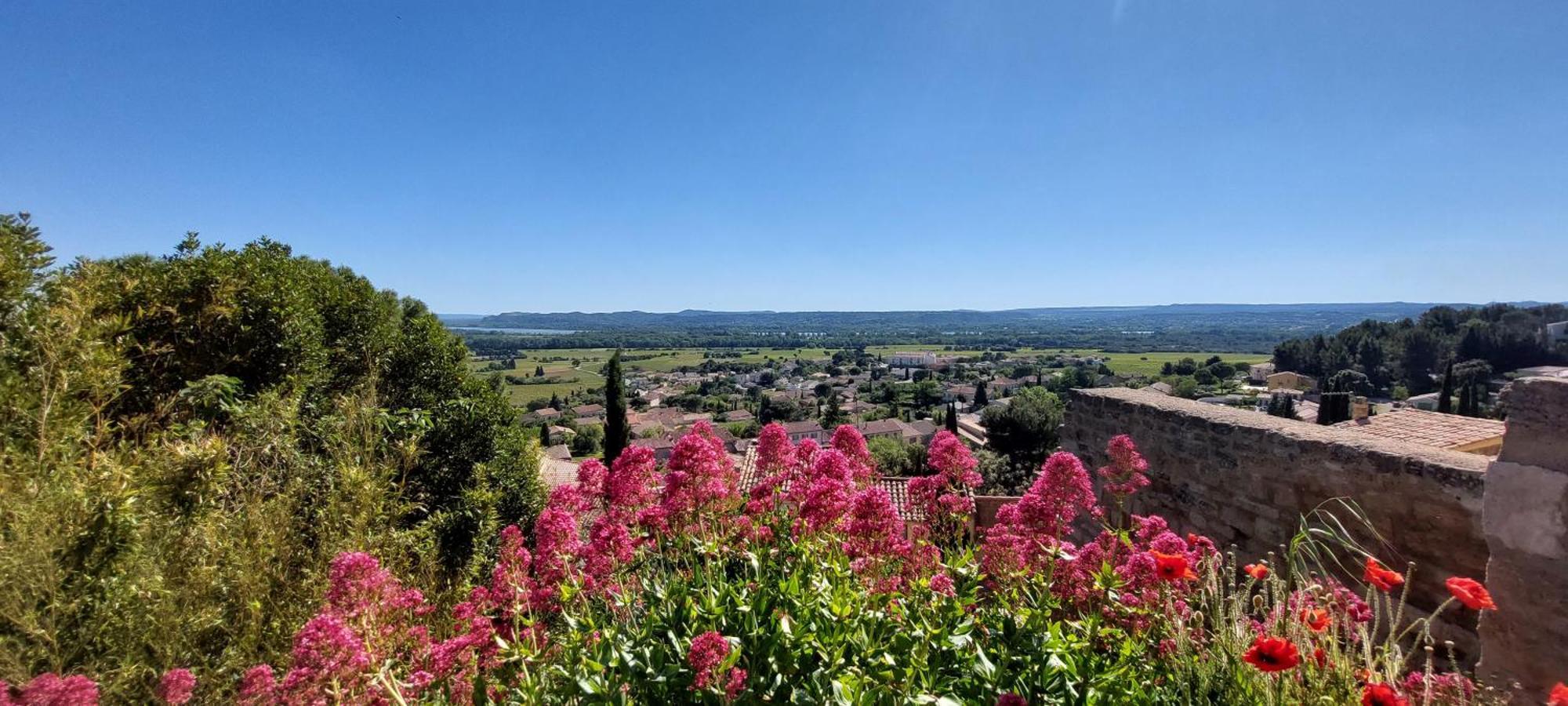 Gite De L'Olivier, Classe, Climatise, Jardin Avec Parking Gratuit Devant Le Logement Et A 5 Minutes Du Centre-Ville A Pied Л'Иль-сюр-ла-Сорг Экстерьер фото
